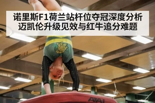 诺里斯F1荷兰站杆位夺冠深度分析 迈凯伦升级见效与红牛追分难题